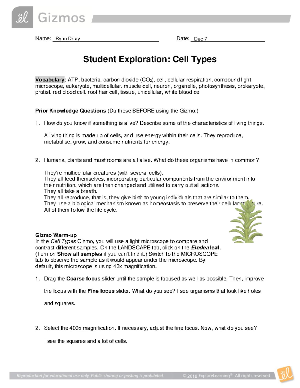 Cell Types Gizmo Student Exploration Sheet - Name: Date: Student ...