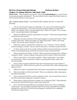 Chapter 12 study guide molec - Chapter 12 Study Guide and Learning ...