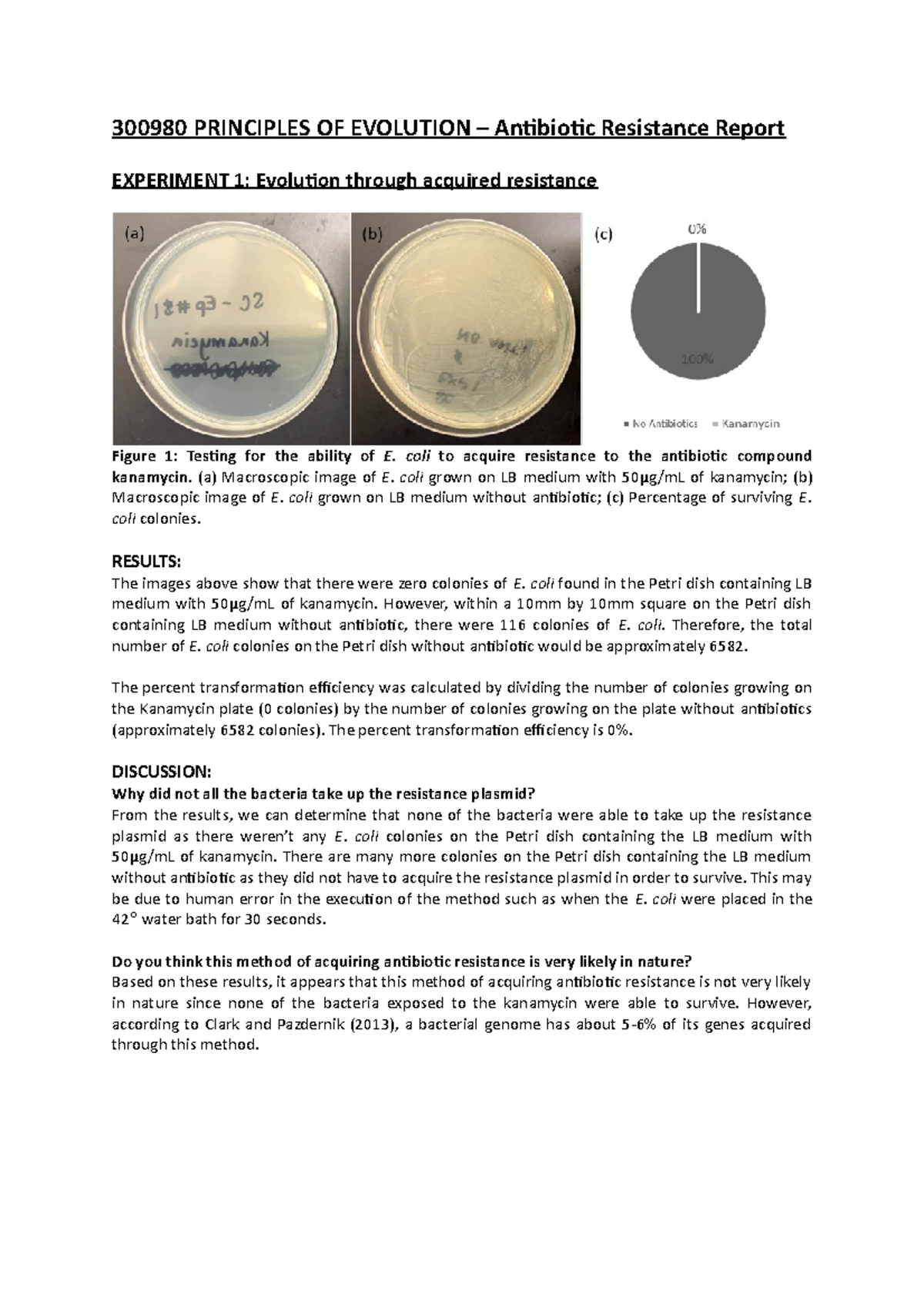 Antibiotic Resistance Report - Principles Of Evolution - 300980 ...