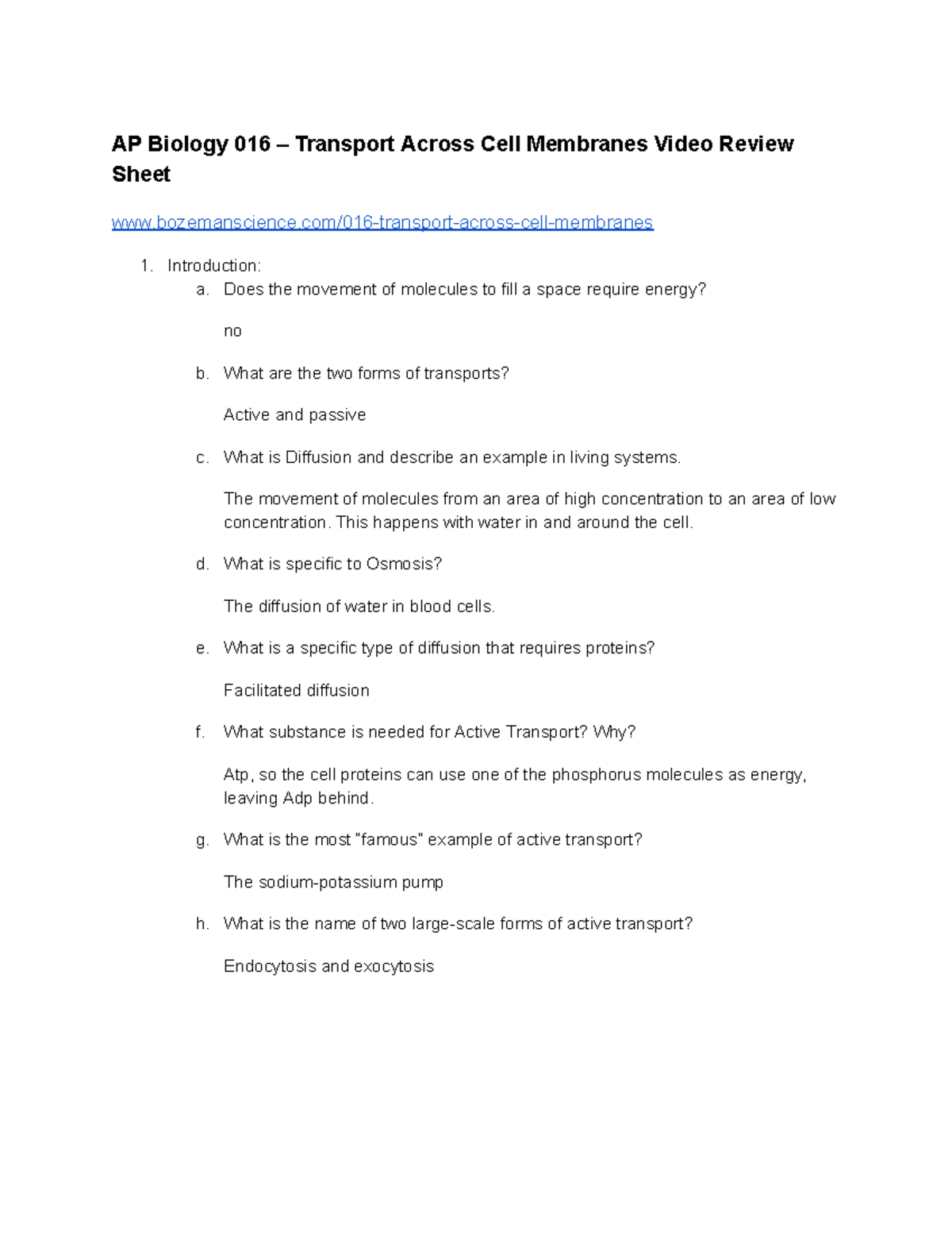 Bozeman Biology Transport Across Cell Membrane Worksheet Answers