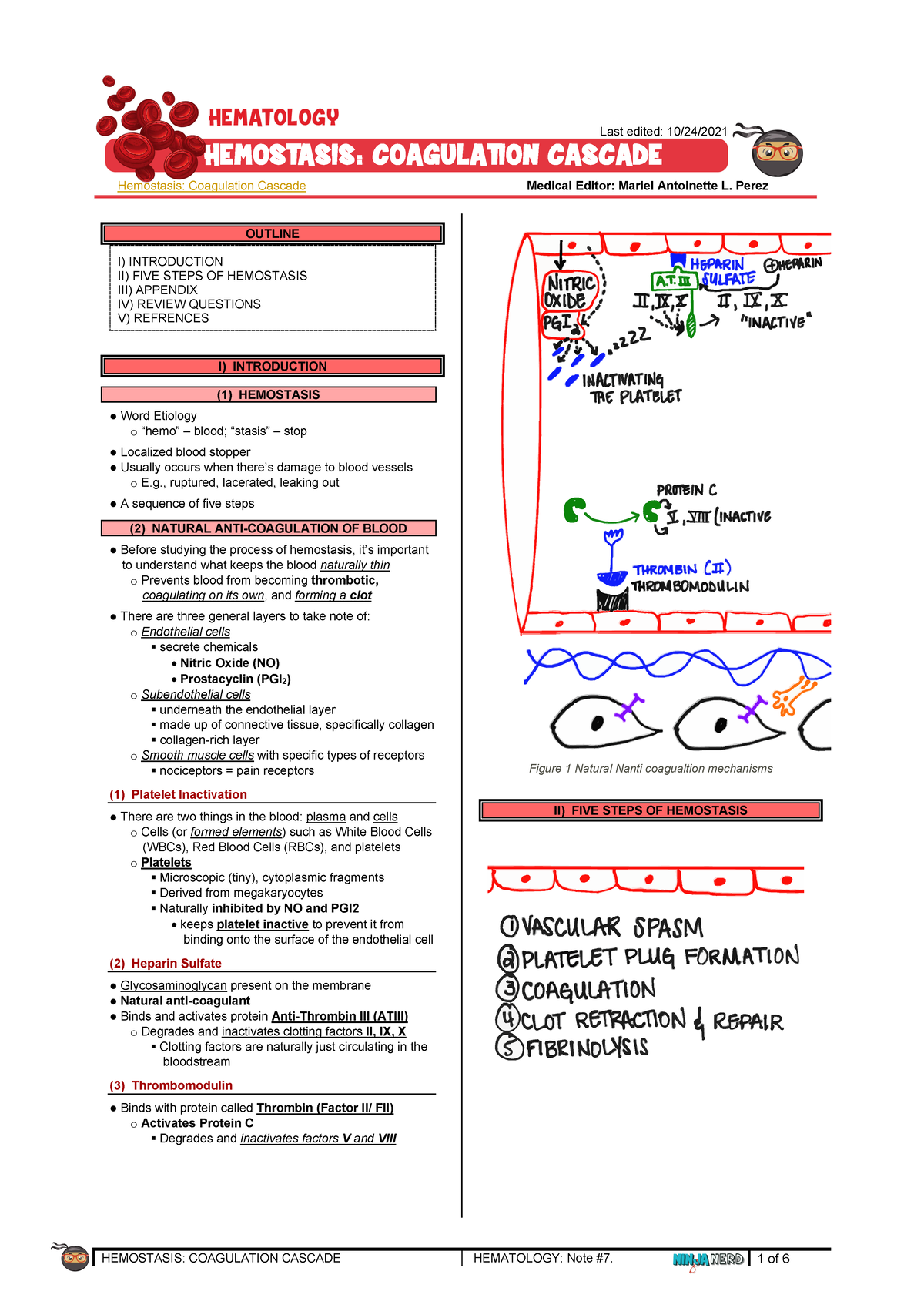 Hematology Ninja Nerd Completo-33-38 - HEMOSTASIS: COAGULATION CASCADE ...