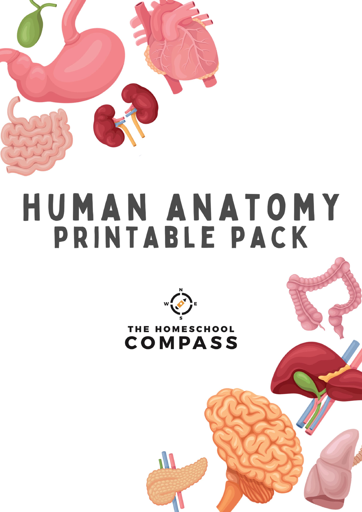 Human-Anatomy-PDF - Review - Bachelors of science in nursing - Studocu