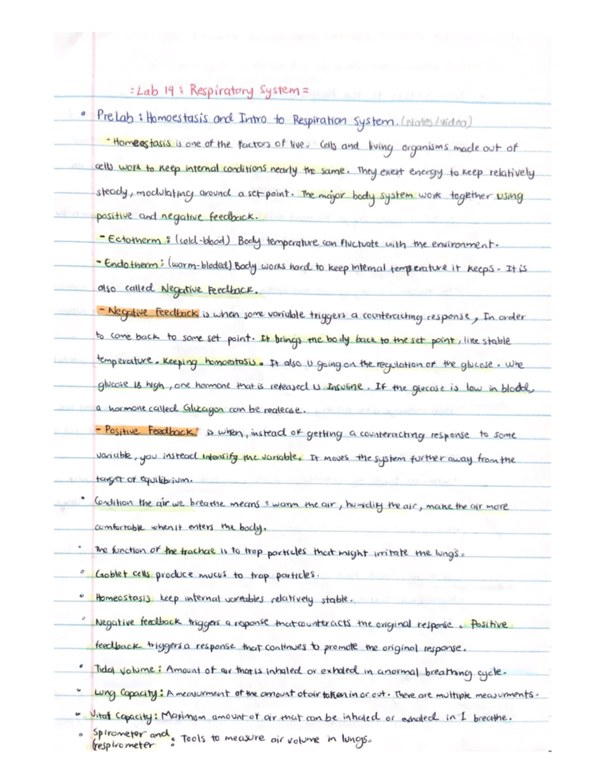 Respiratory System - BIOL 31 - LPC - Studocu