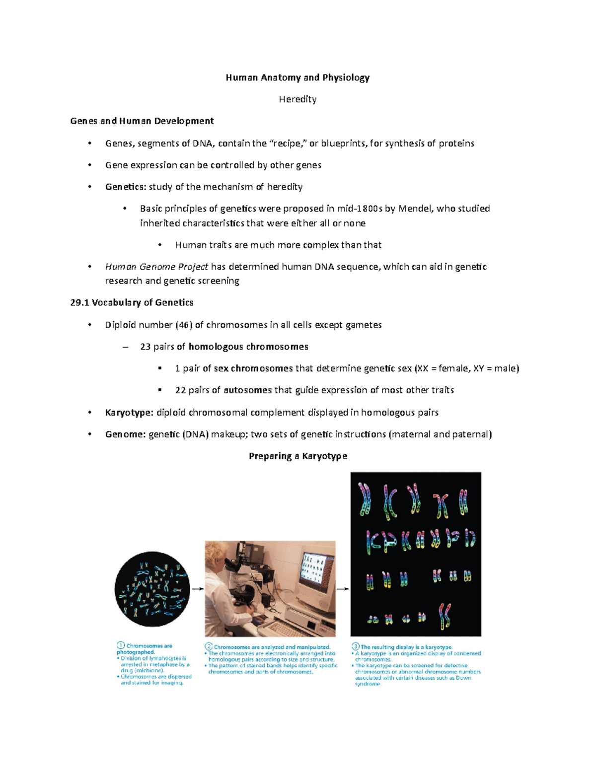 experimental studies in the physiology of heredity