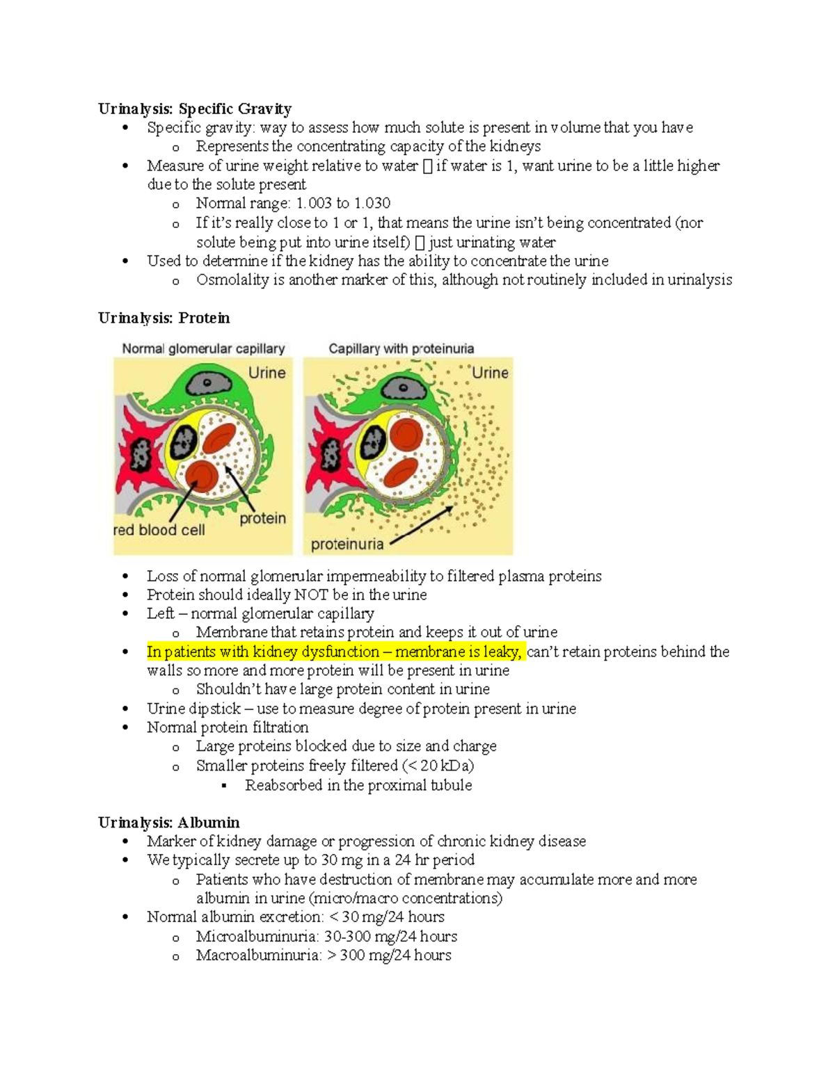 Renal Exam 2 Part 5 - Urinalysis: Specific Gravity Specific gravity ...