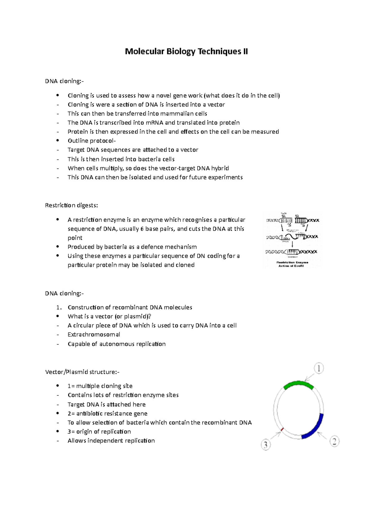 lecture 8 notes Molecular Biology Techniques II DNA cloning