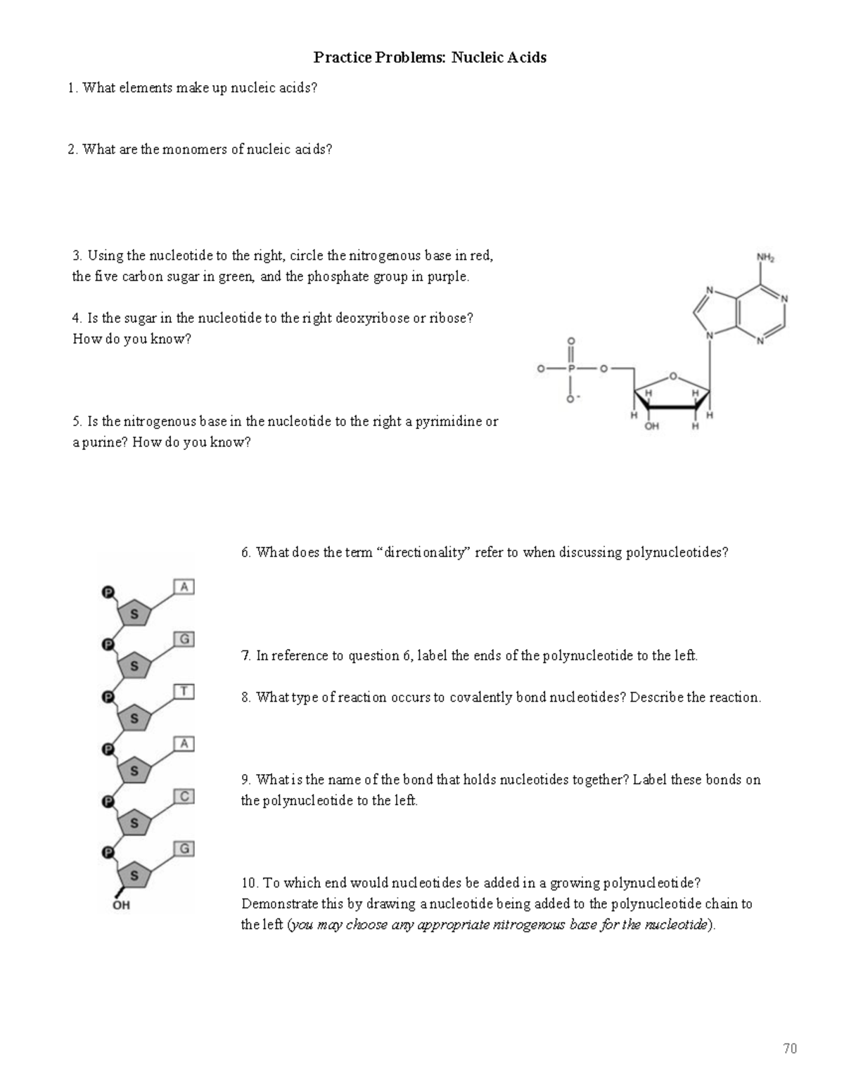 AP Biology Unit 1 Nucleic Acids practice FRQs 70 Practice Problems