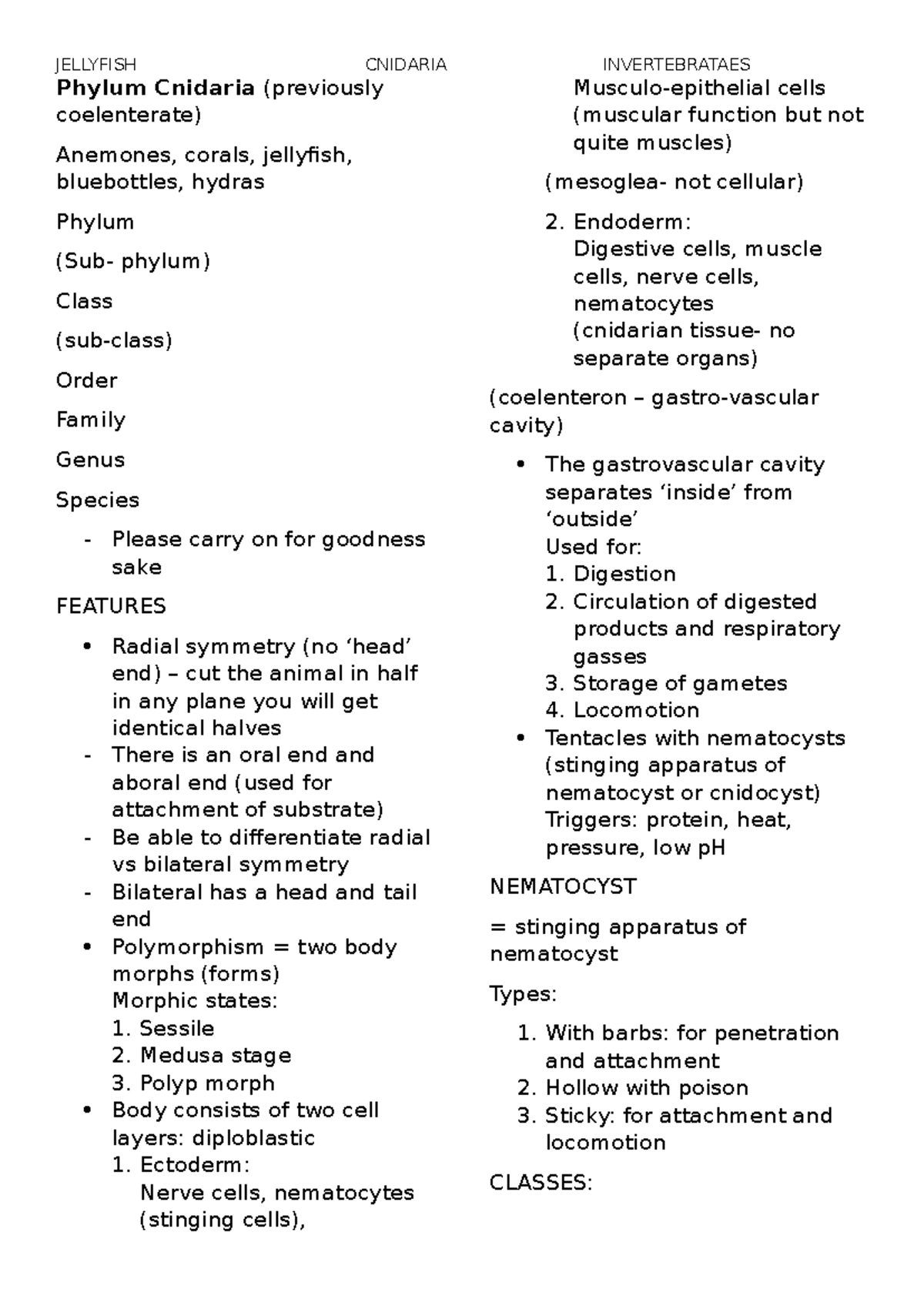 Cnidaria (jellyfish) notes - Phylum Cnidaria (previously coelenterate ...