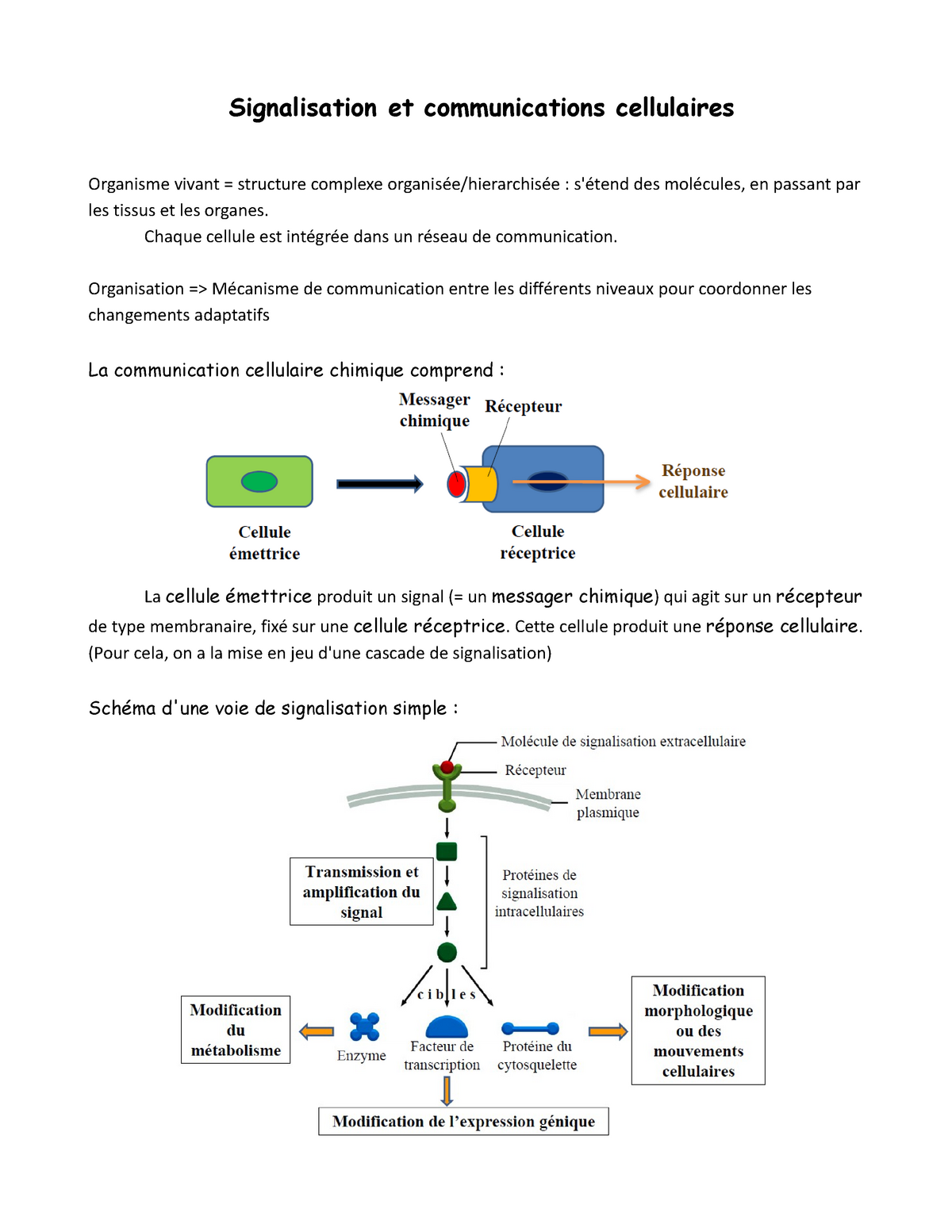 1) Les récepteurs couplés aux canaux ioniques [11. Introduction à la  signalisation cellulaire [biologie cellulaire]]