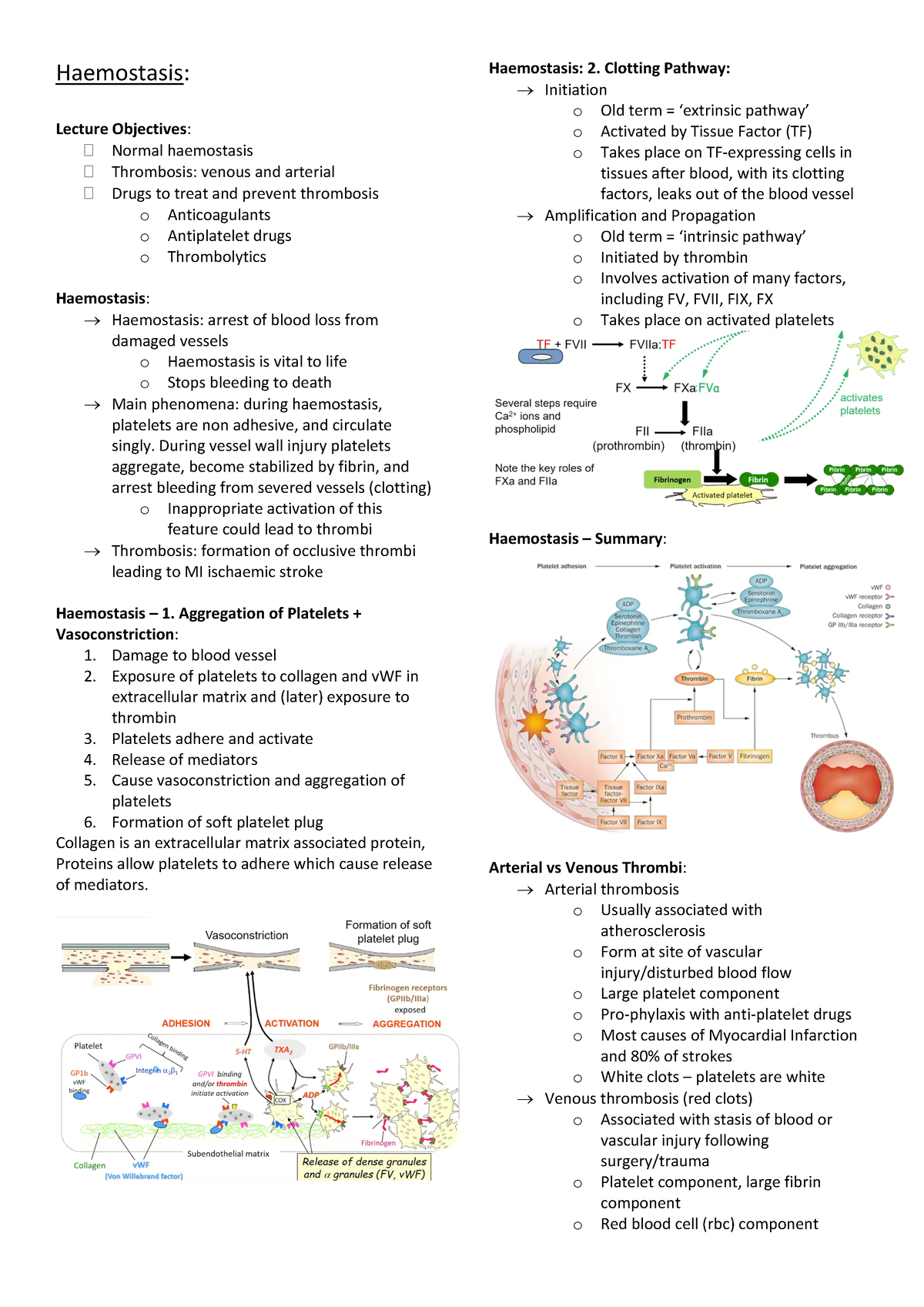 Haemostasis Lecture Notes - Haemostasis: Lecture Objectives : Normal ...