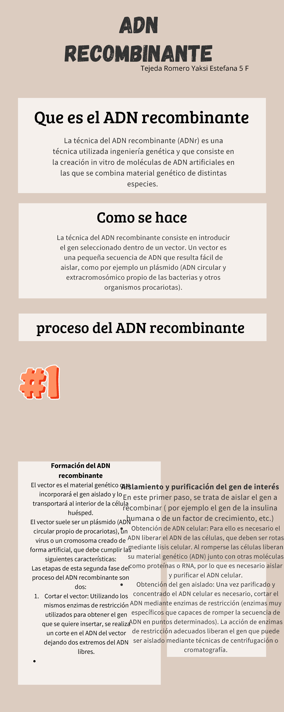 ADN Recombinante - Obtención De ADN Celular: Para Ello Es Necesario El ...