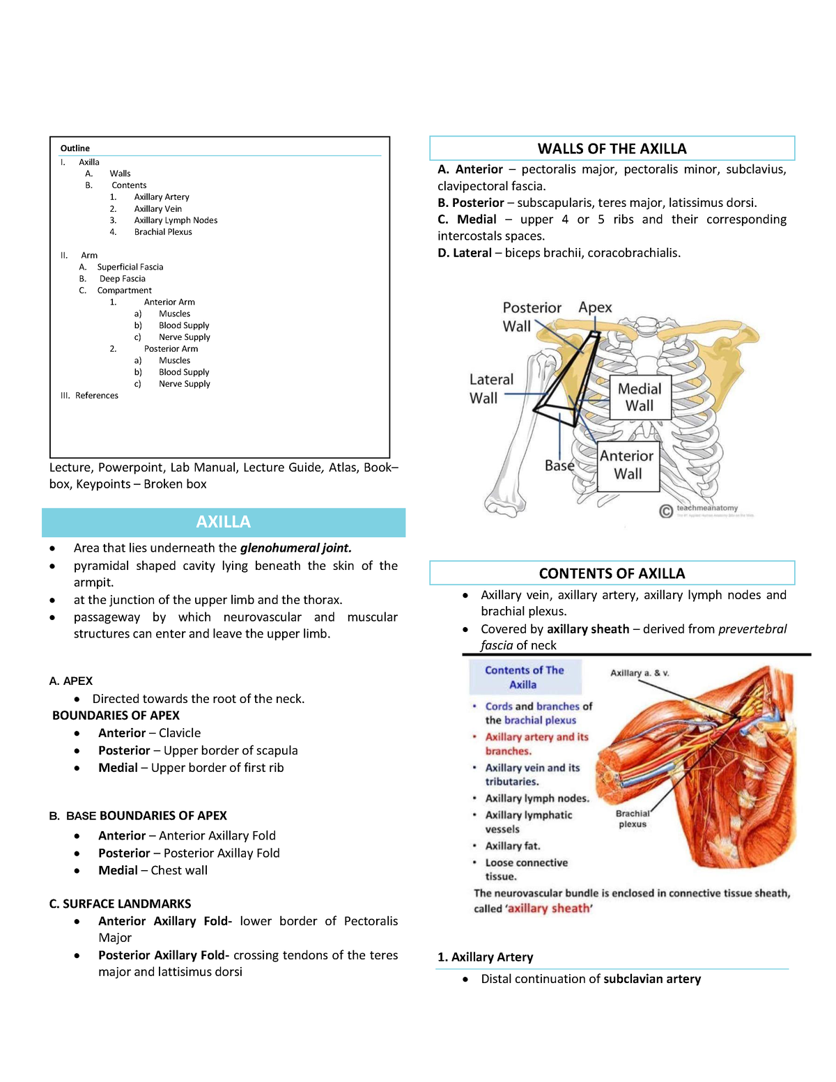 Axilla and Arm anatomy - Lecture notes 1-2 - Lecture, Powerpoint, Lab ...