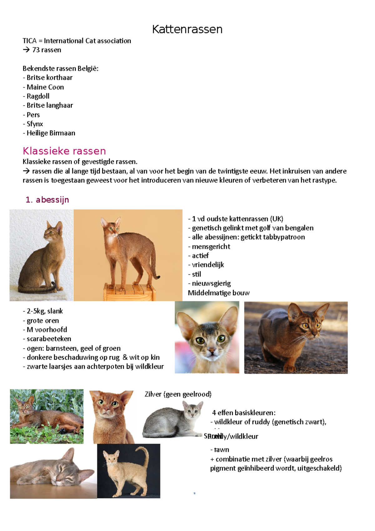 Kattenrassen - alle rassen die te kennen zijn - Kattenrassen TICA ...
