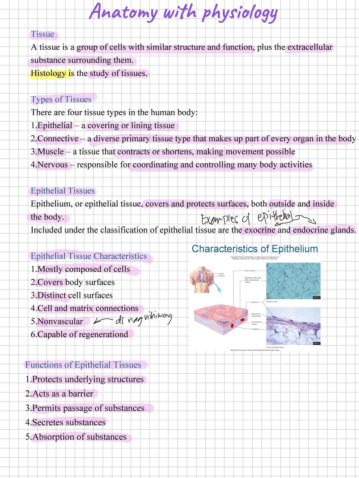 1st sem notes - Tissue A tissue is a group of cells with similar ...