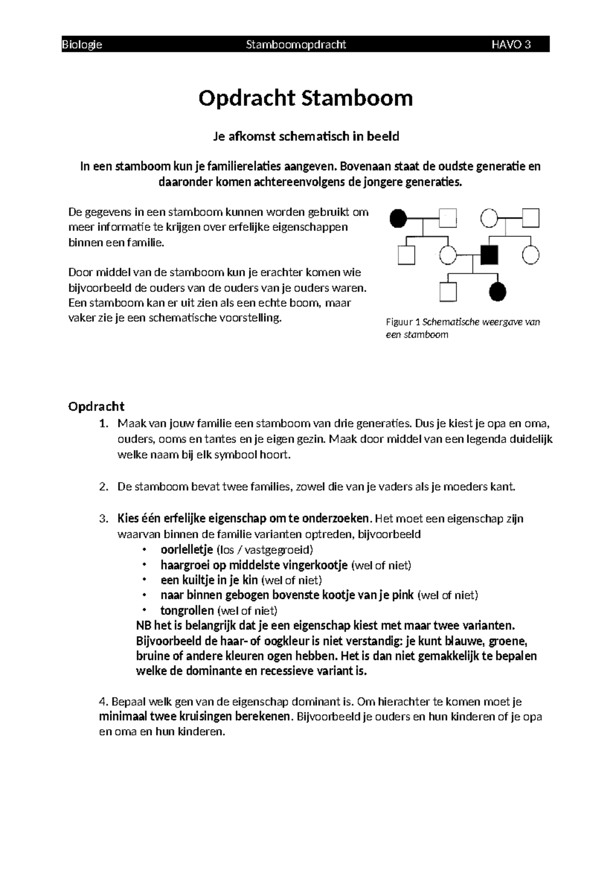 Opdracht Stambomen Thema Erfelijkheid Havo 3 - Biologie ...