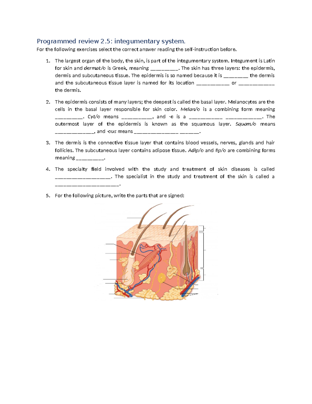 Progrrrrrrrrrrrr - Programmed review 2: integumentary system. For the ...