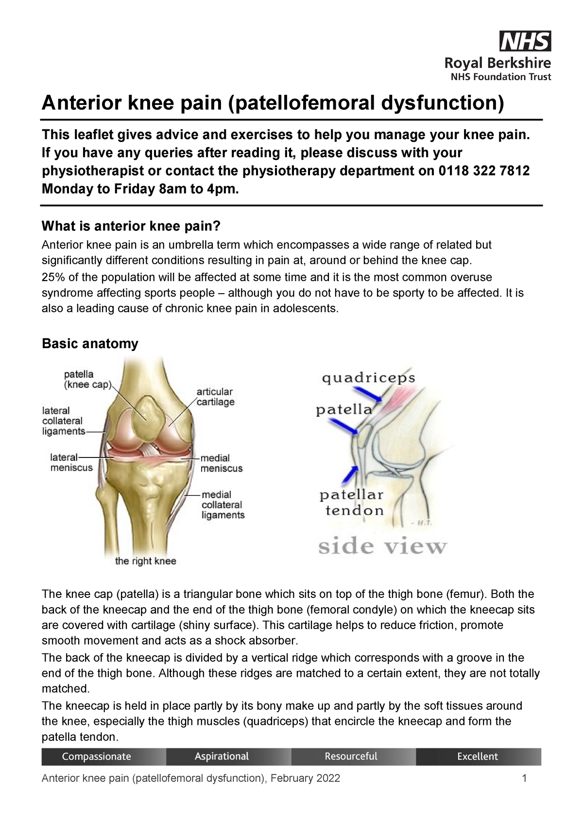 Anterior-knee-pain Feb22 - Anterior Knee Pain (patellofemoral ...