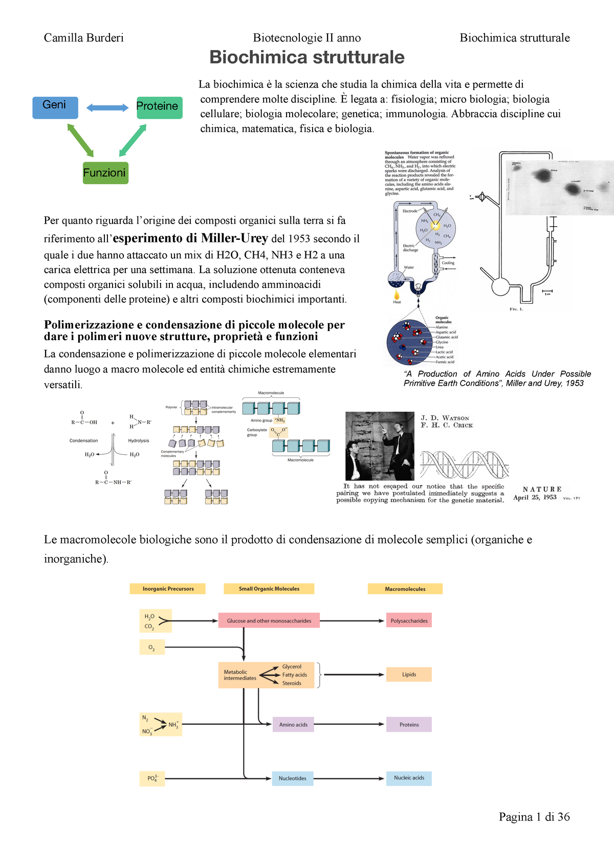 Appunti Biologia Molecolare - Biochimica Strutturale La Biochimica è La ...