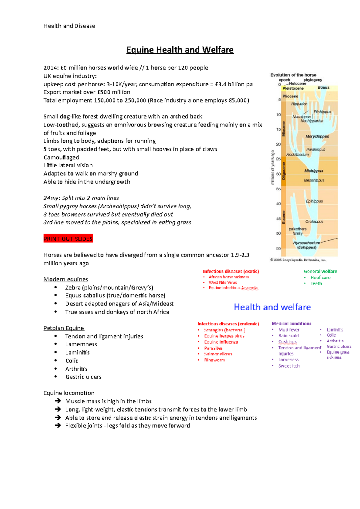 Equine Health and Welfare - notes - Equine Health and Welfare 2014: 60 ...