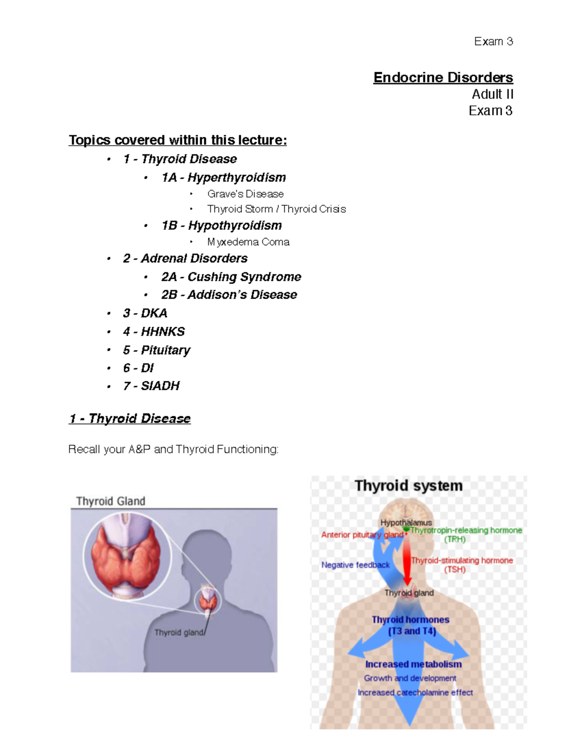 Adult II Endocrine - Endocrine Disorders Adult II Exam 3 Topics covered ...