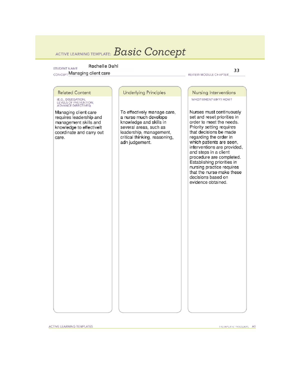 RN nursing care of children 3 templates MSN 5430 33 Rochelle Dahl