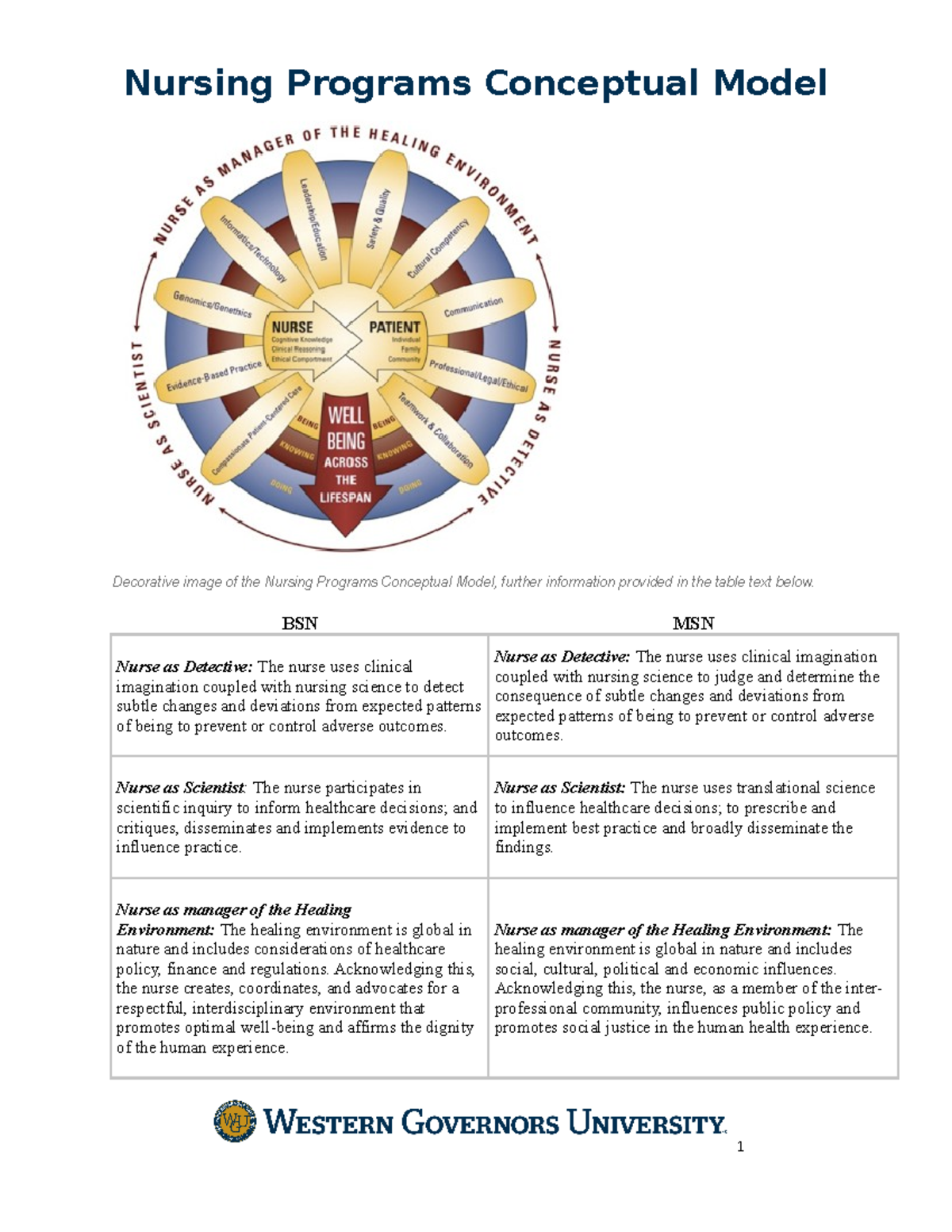 nursing-programs-conceptual-model-bsn-msn-nurse-as-detective-the