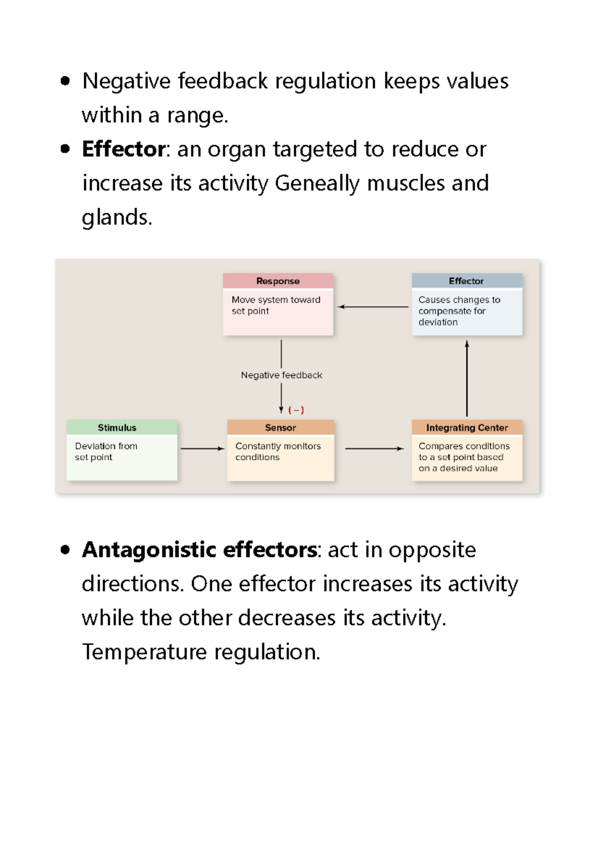7. Homeostasis Dr. Mosley Negative feedback regulation keeps values