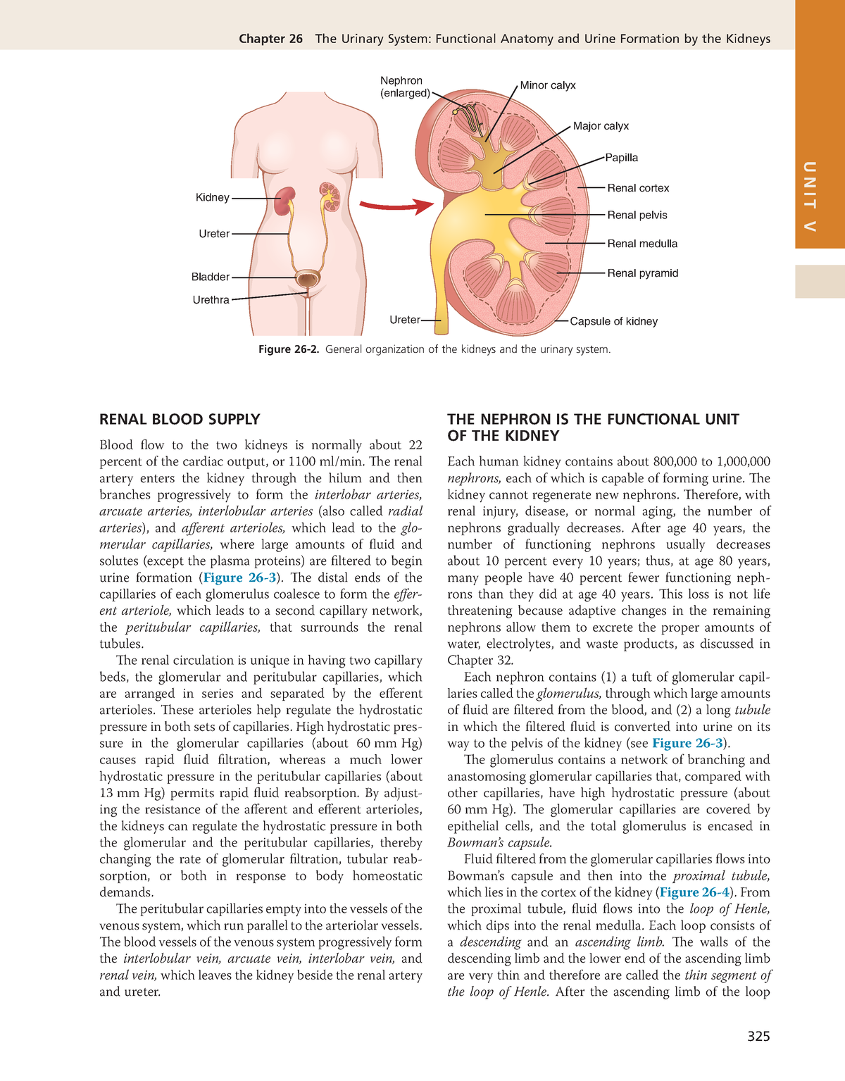 Guyton And Hall Textbook Of Medical Physiology ( PDFDrive )-36 ...