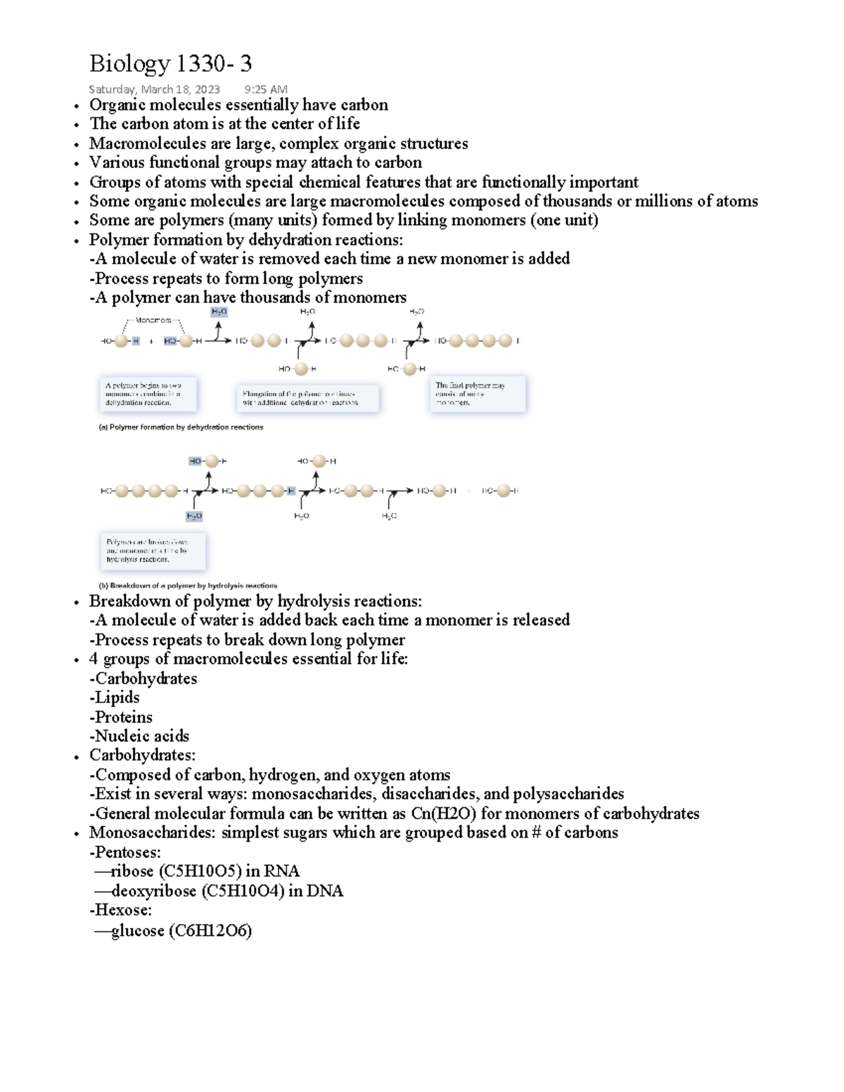 Biology 1330 - Dr. Suni Dharmasiri - • Organic molecules essentially ...
