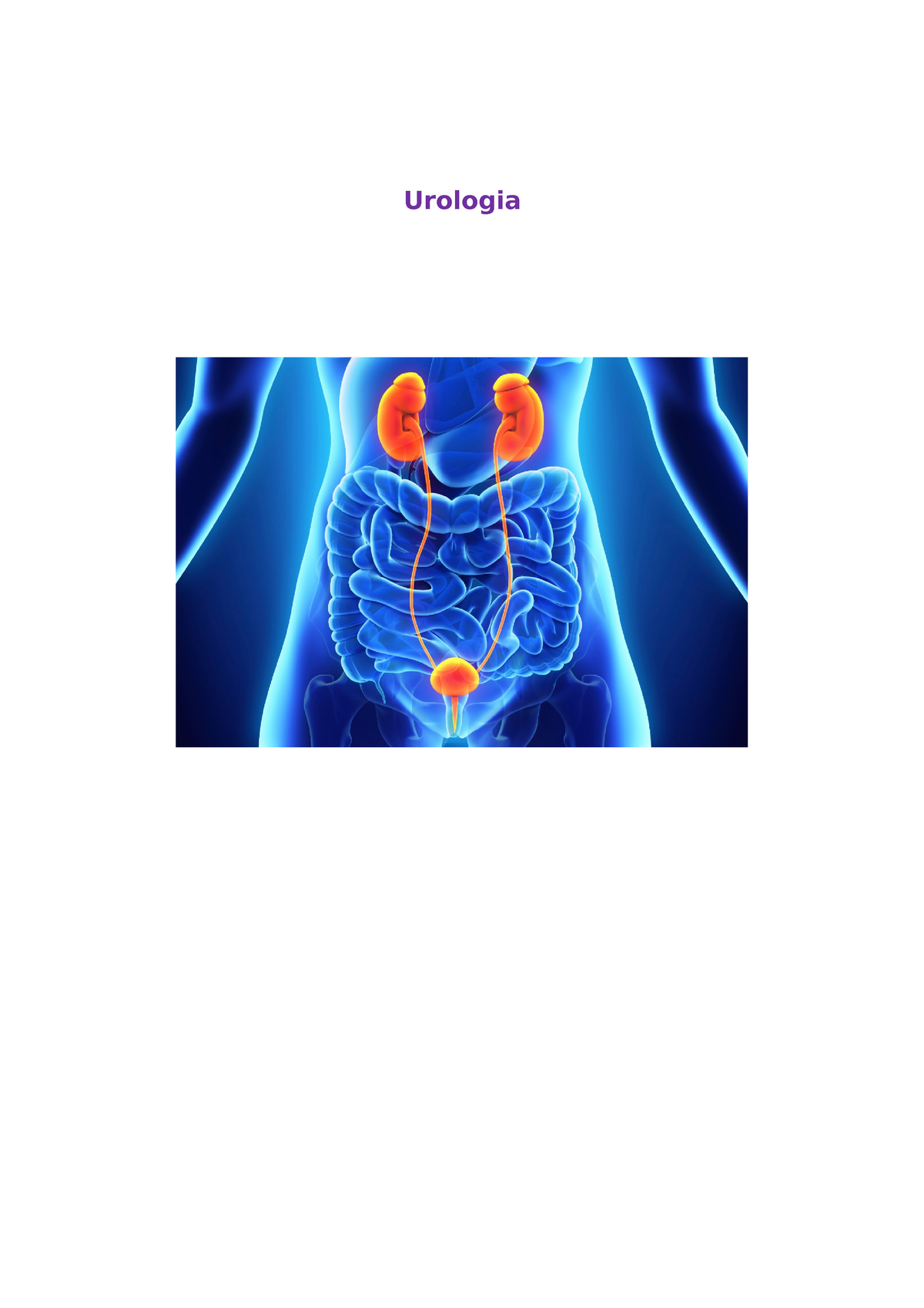 Urologia Urologia Anatomia Dellapparato Urinario Lapparato Urinario è Formato Da Reni 7250