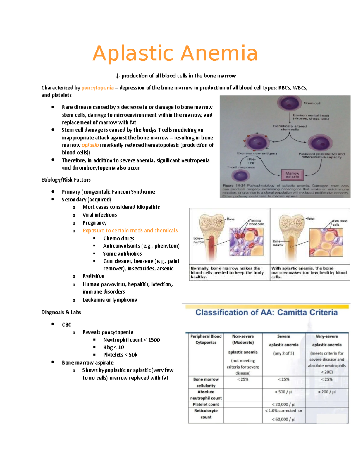 Aplastic Anemia - Sinsabaugh - Aplastic Anemia ↓ production of all