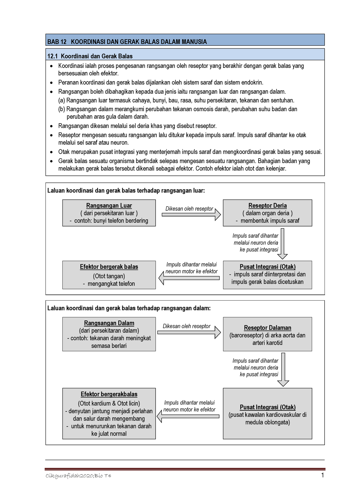 T4.B12. Koordinasi DAN Gerak Balas Dalam Manusia - BAB 12 KOORDINASI ...