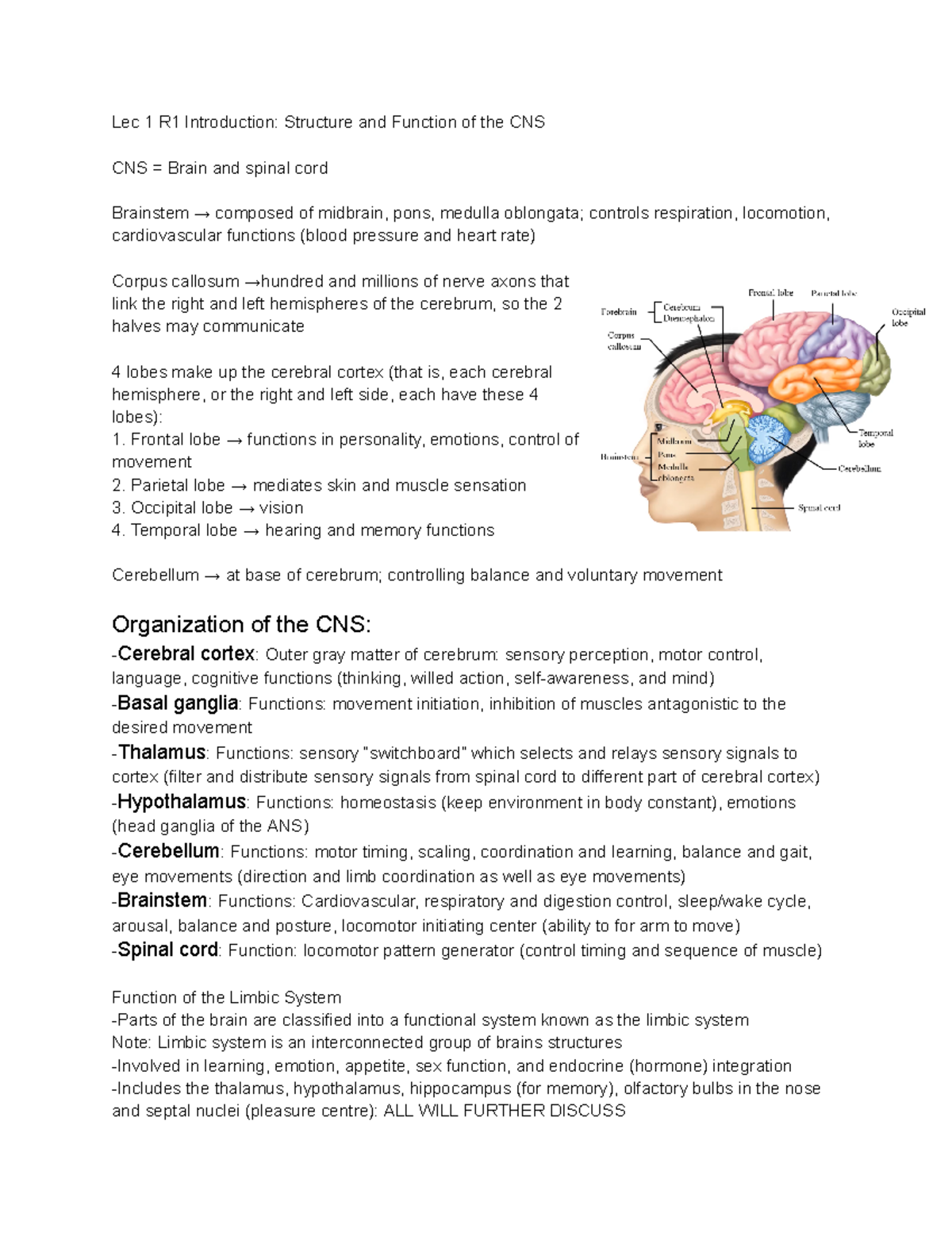 Central nervous system - Lec 1 R1 Introduction: Structure and Function ...