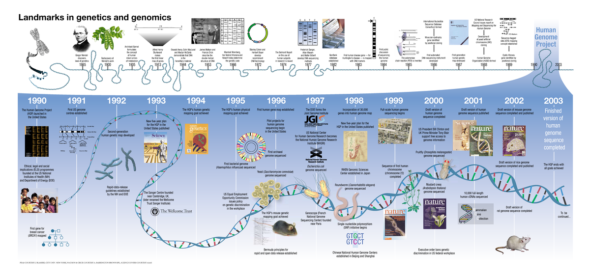 HGP Timeline - Genetics - M GC Landmarks In Genetics And Genomics 4 U C ...