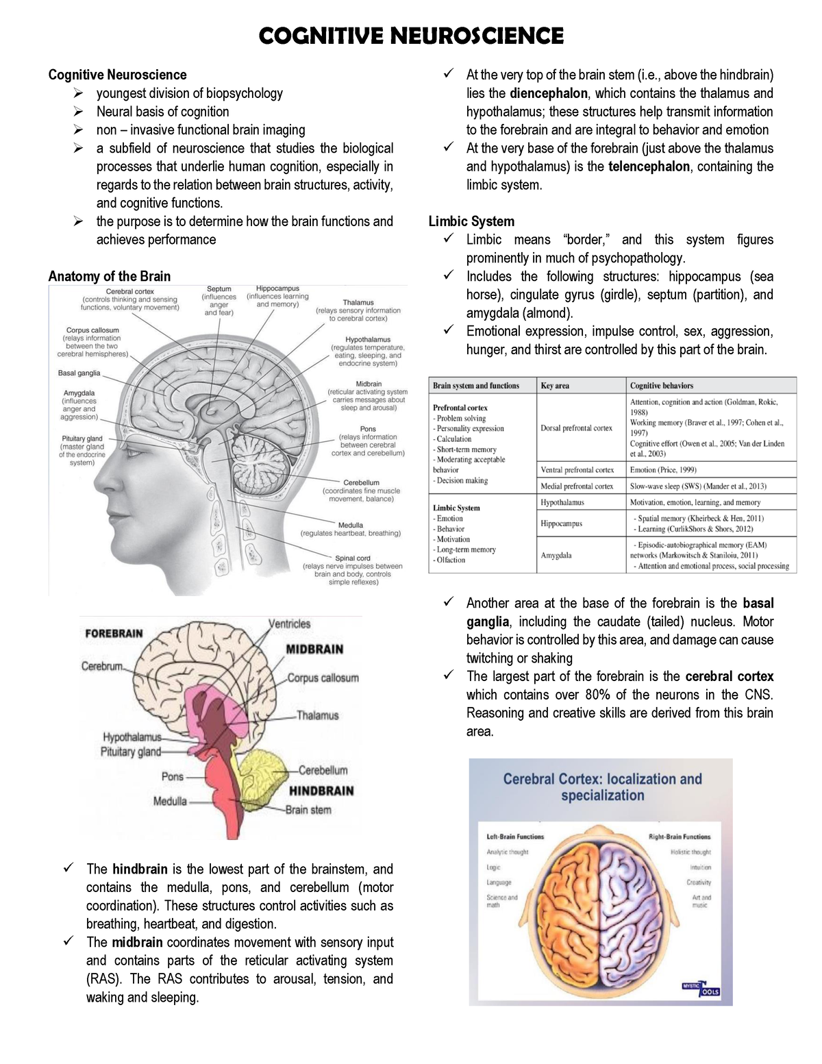 Cognitive-Neuroscience-Reviewer - Cognitive Neuroscience youngest ...