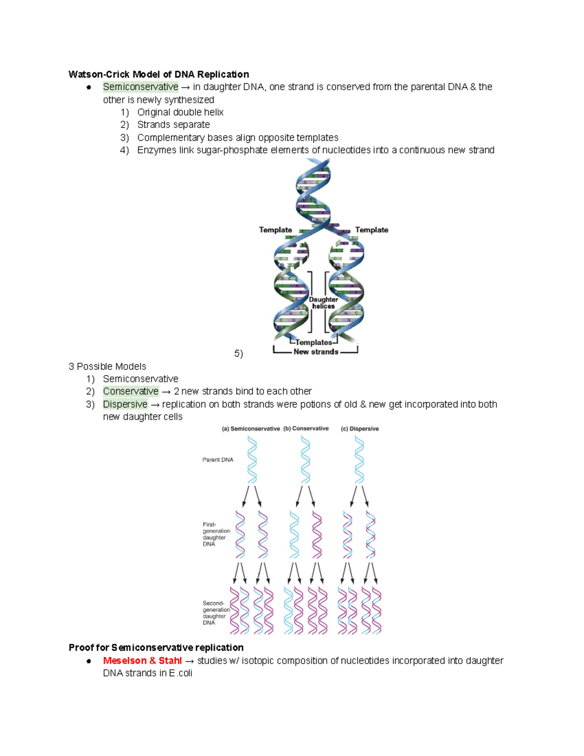 BIOL 239 EXAM Notes - Has a bunch of spelling mistakes but got me a 90 ...