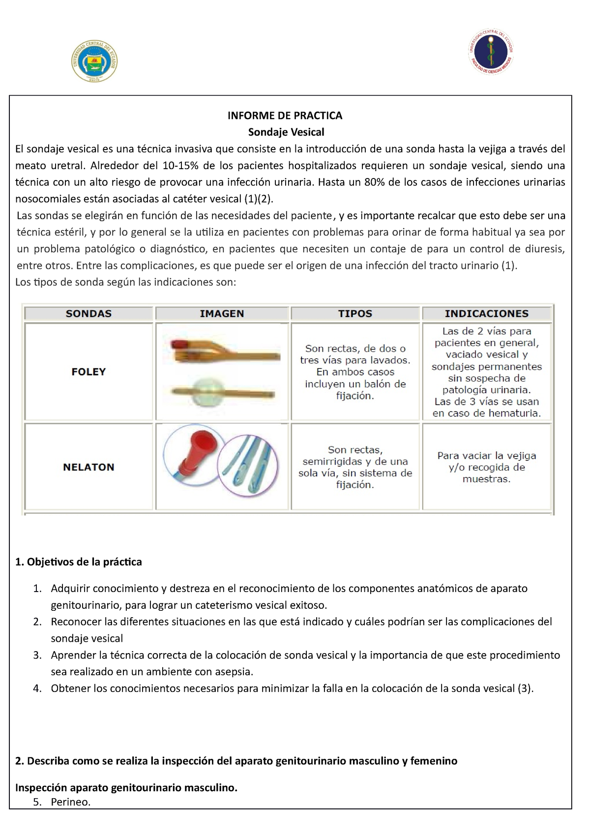 PractiCAEs: colocación de un colector urinario masculino. 