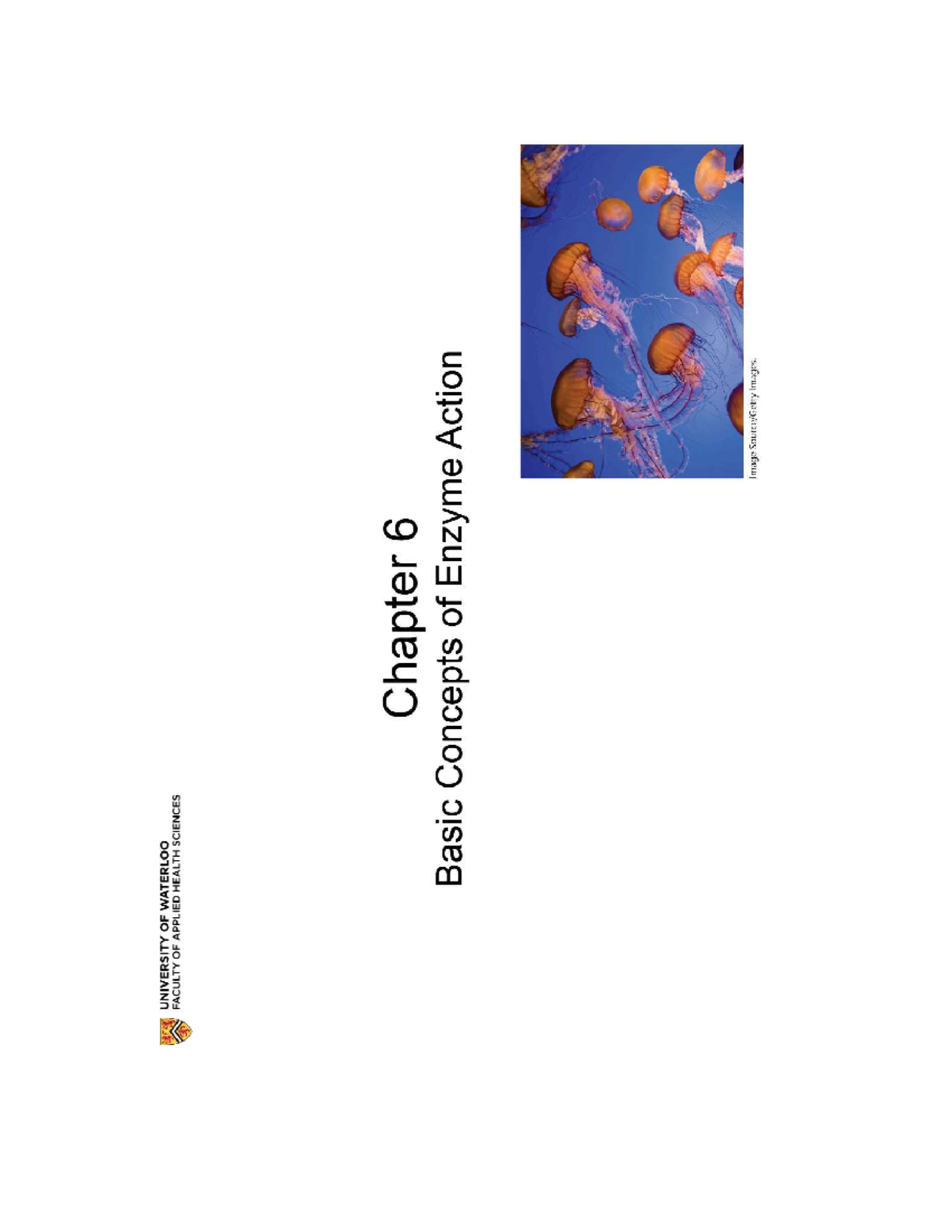 Chapter 6 - Enzymes - lecture - KIN 217 - Studocu