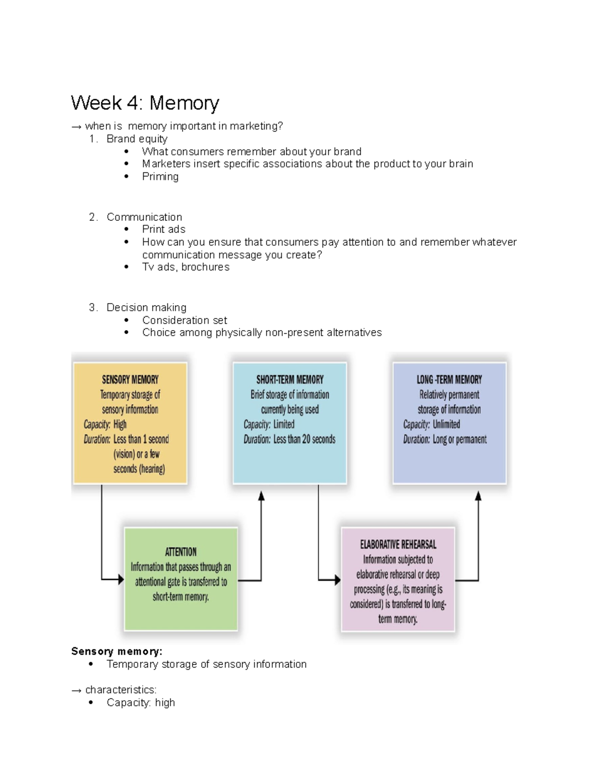Mark2051 week 4 notes - Week 4: Memory → when is memory important in ...