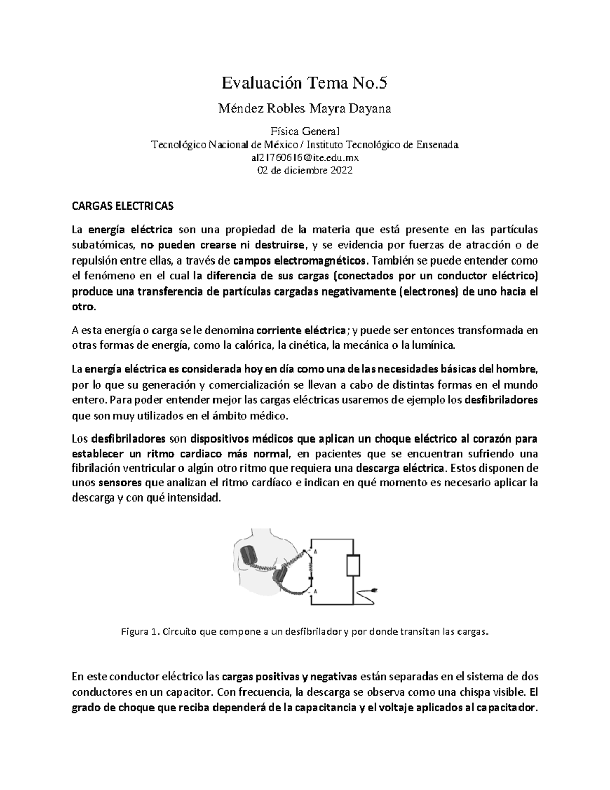 Evaluación Ejemplo Cargas Electricas Evaluación Tema No. Méndez