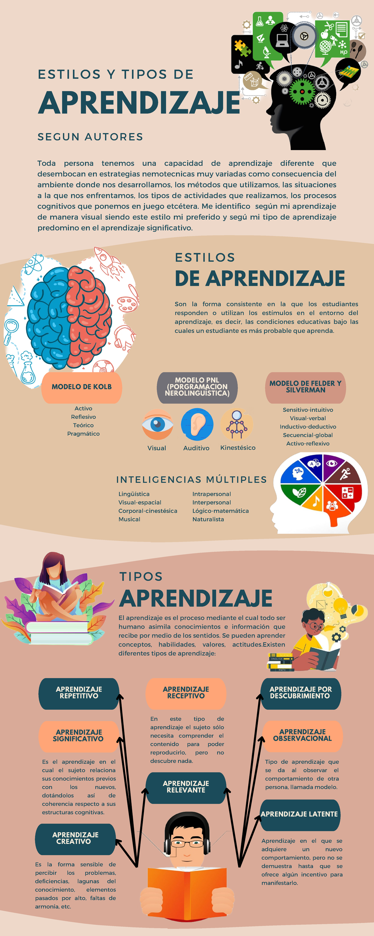 Infografia Sistema Nervioso Anatomico Azul Beige Modelo De Kolb The