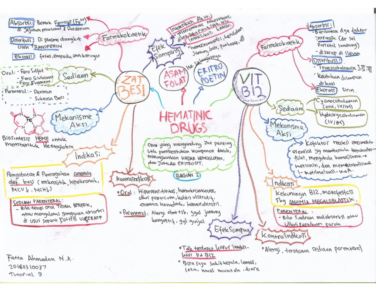 Mind Map Hematinic Drugs - Kedokteran - Studocu