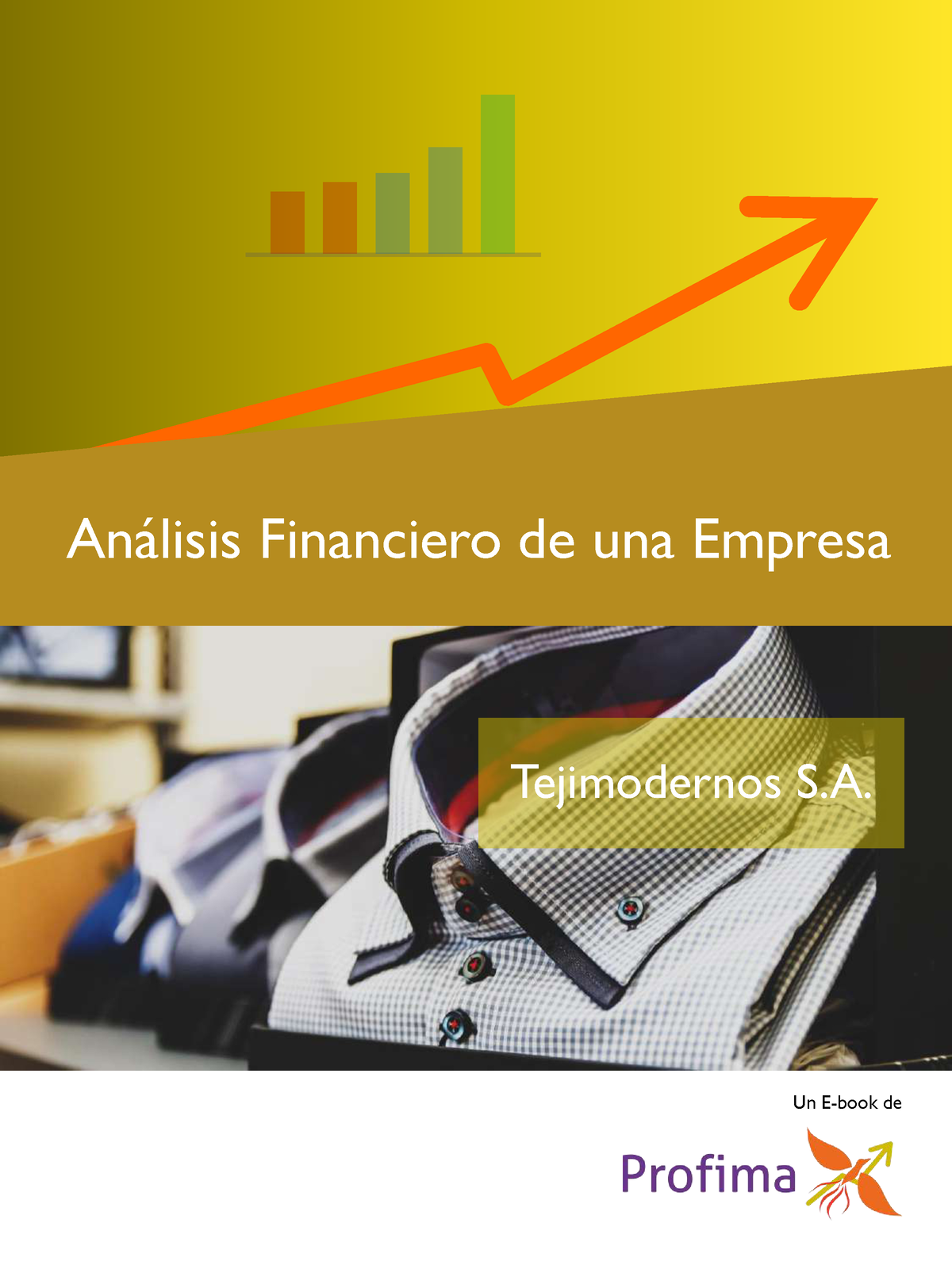 Analisis Financiero DE UNA Empresa - Un E-book De An·lisis Financiero ...