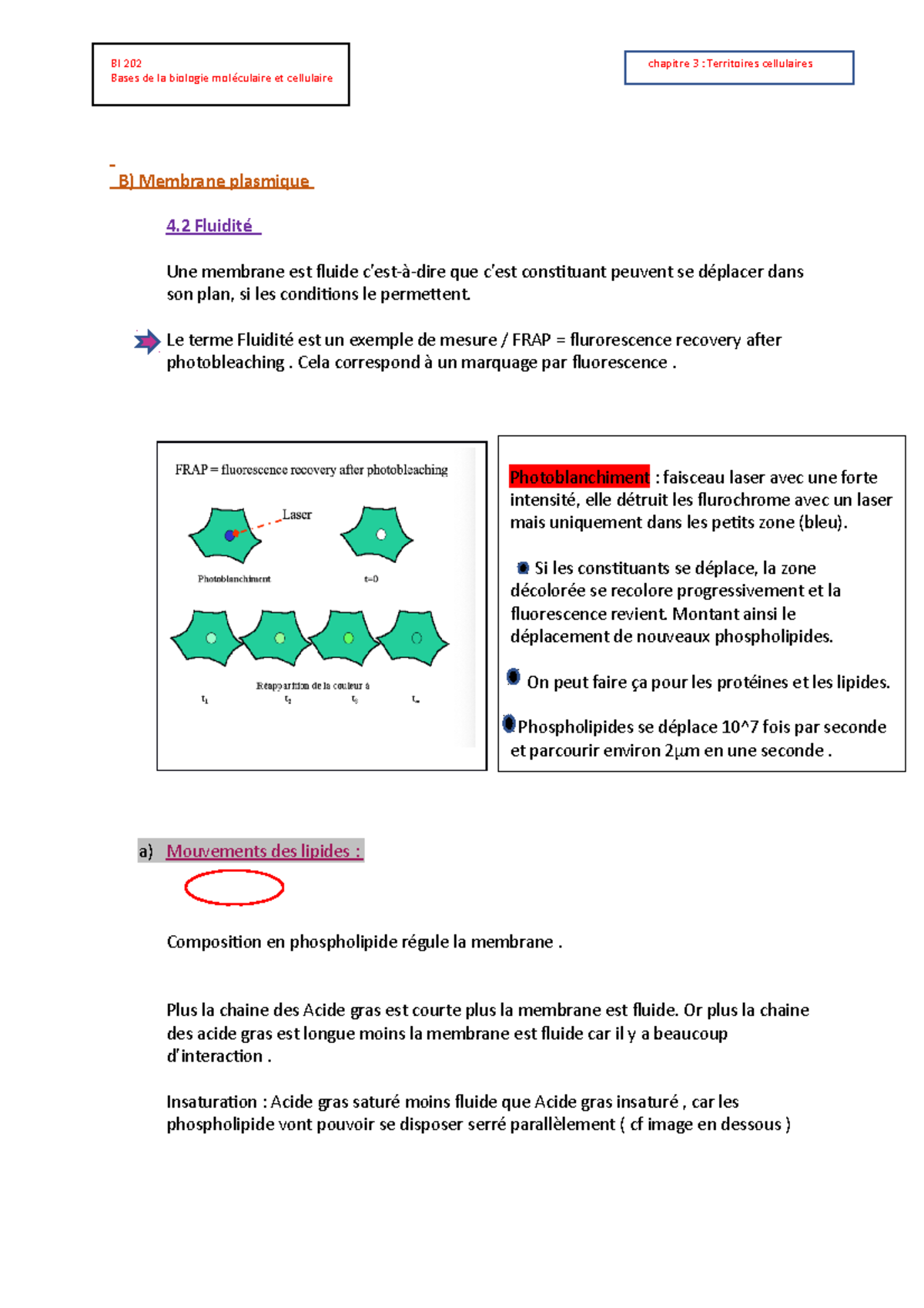 BI 202 Les Type De Transport - Bases De La Biologie Moléculaire Et ...