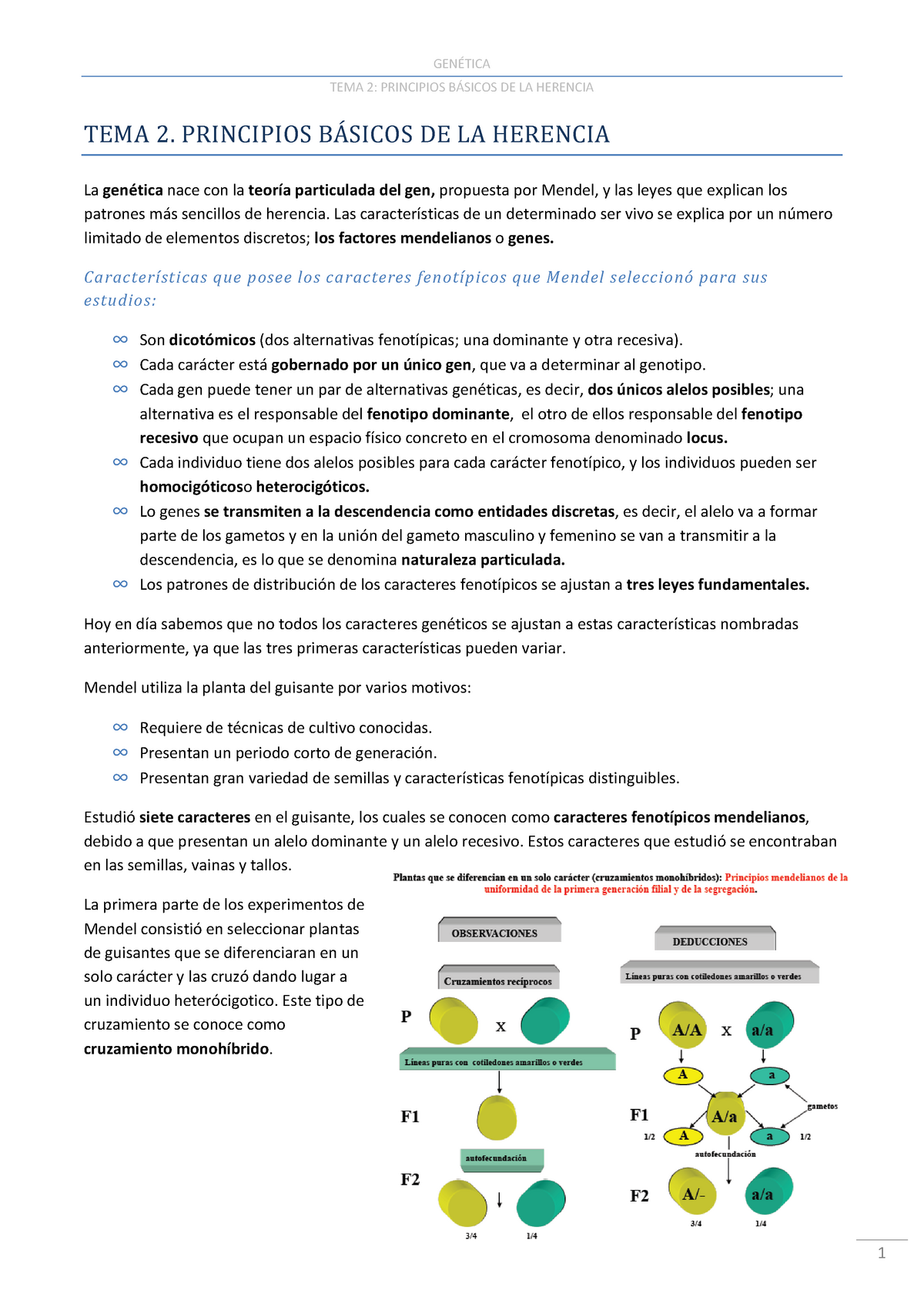 TEMA 2. Principios Básicos De La Herencia - TEMA 2: PRINCIPIOS DE LA ...