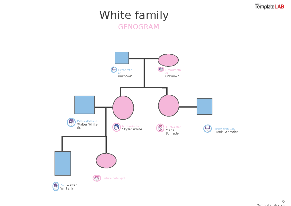 3-Generation-Genogram-Template-V2 - NURP 570 - Grandfath er unknown ...