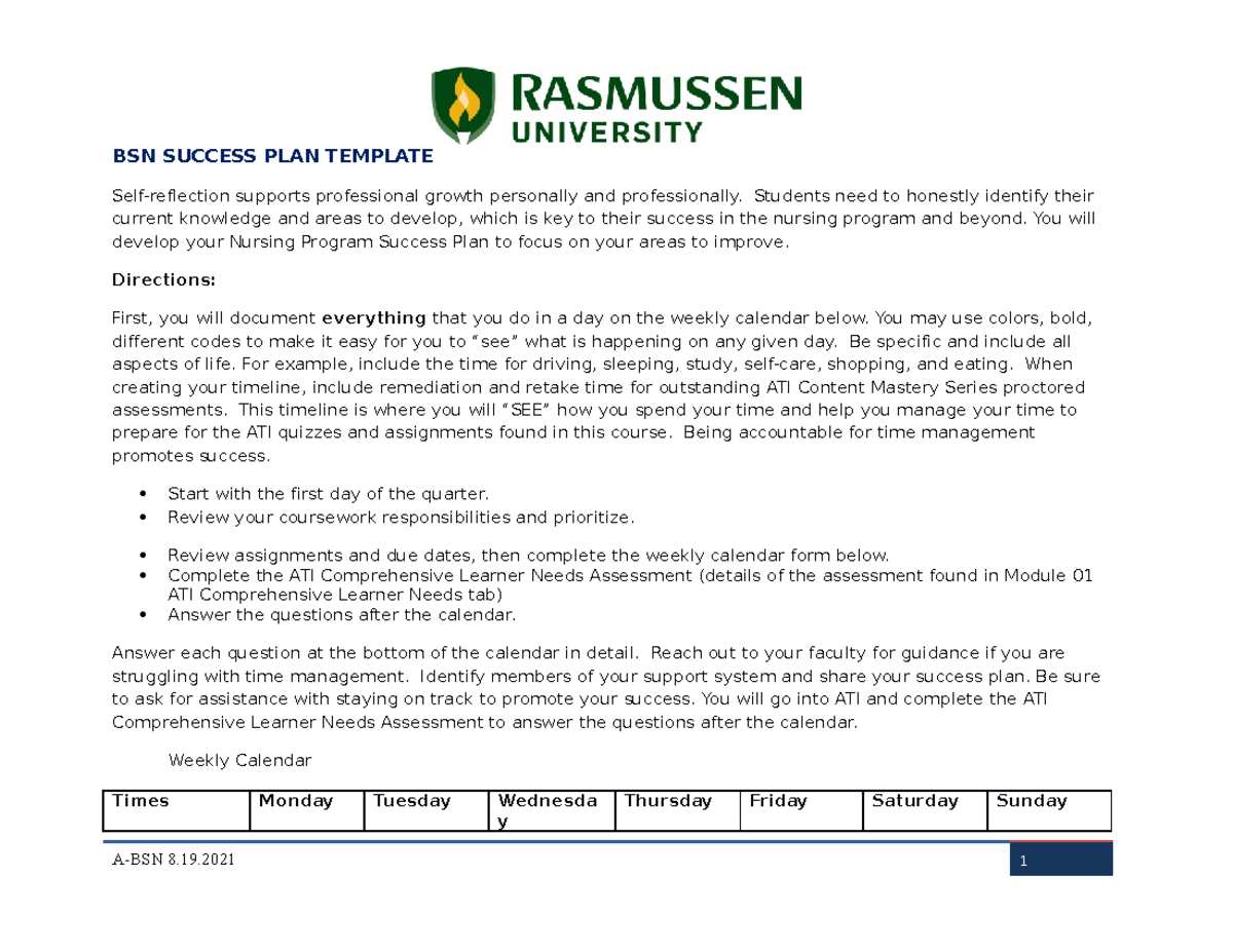 BSN Success PLAN Template BSN SUCCESS PLAN TEMPLATE Selfreflection