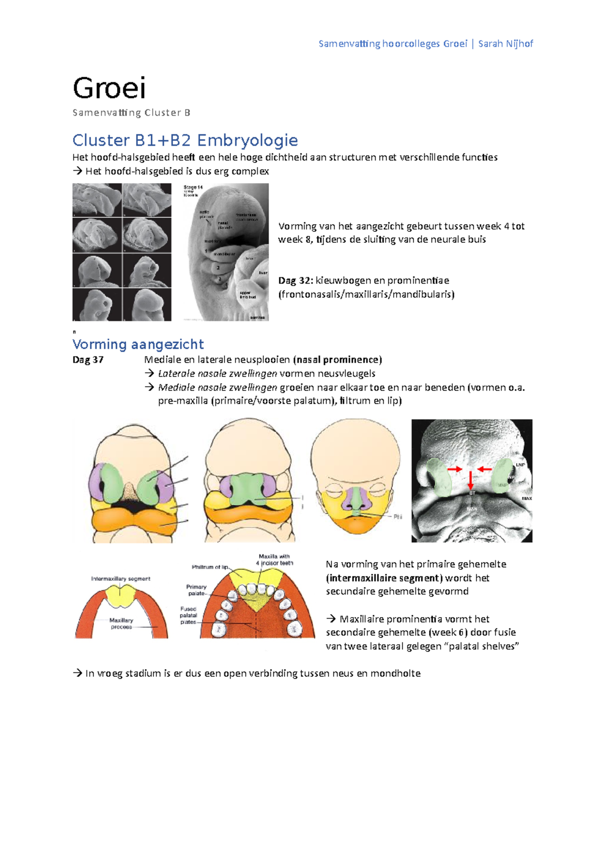 Groei - Samenvatting Cluster B - Groei Samenvatting Cluster B Cluster ...