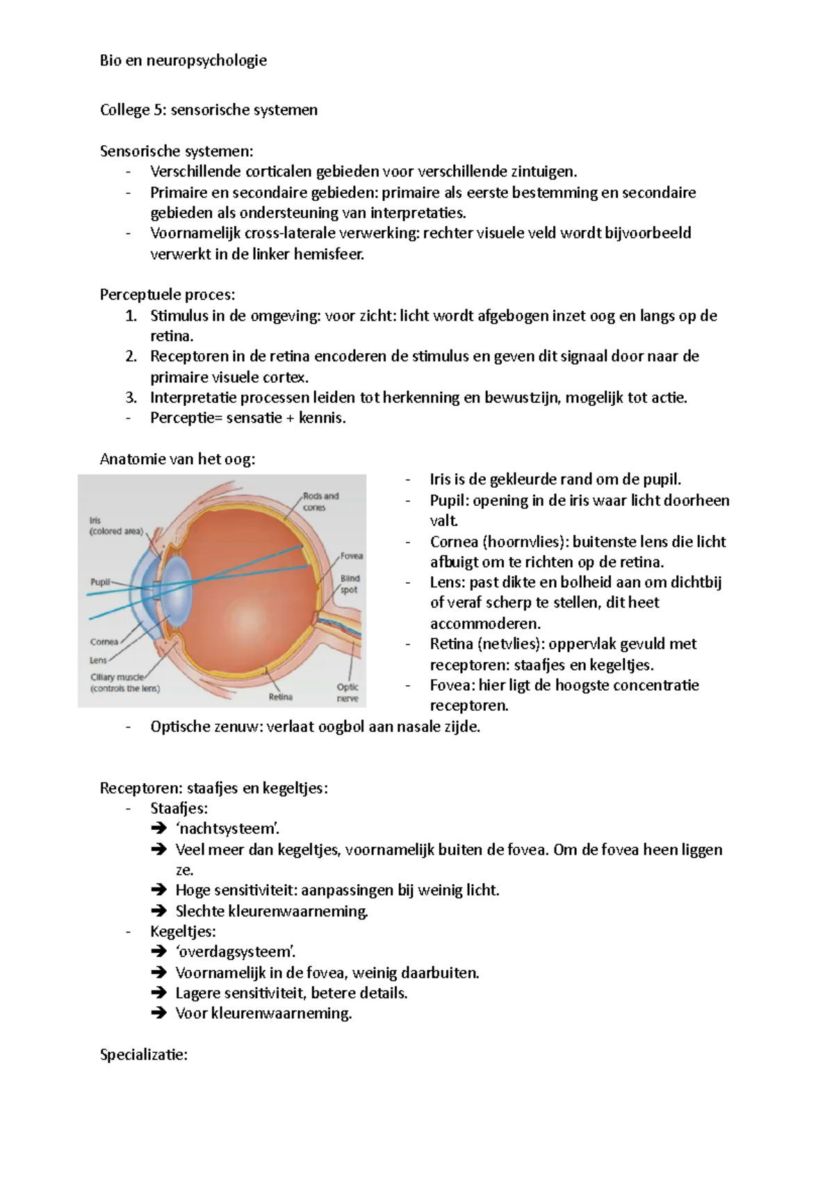 Aantekeningen College 5 - College 5: Sensorische Systemen Sensorische ...