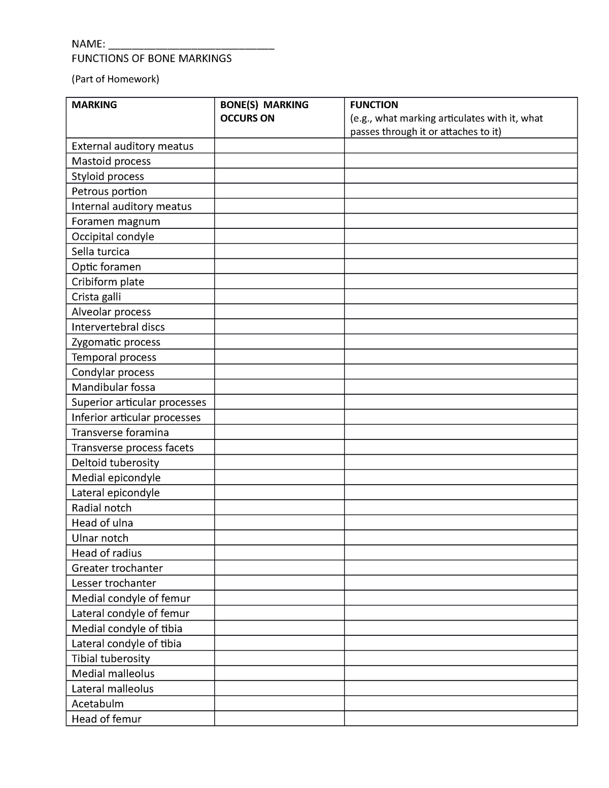 Bone Marking Worksheet NAME FUNCTIONS 